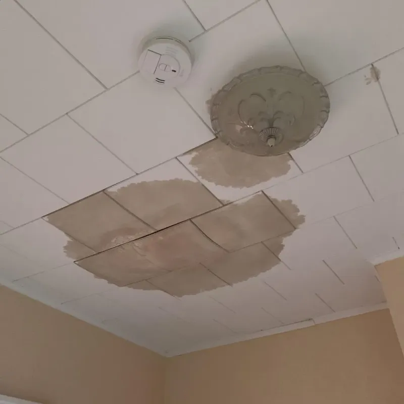Ceiling Water Damage Repair in Wayne County, OH
