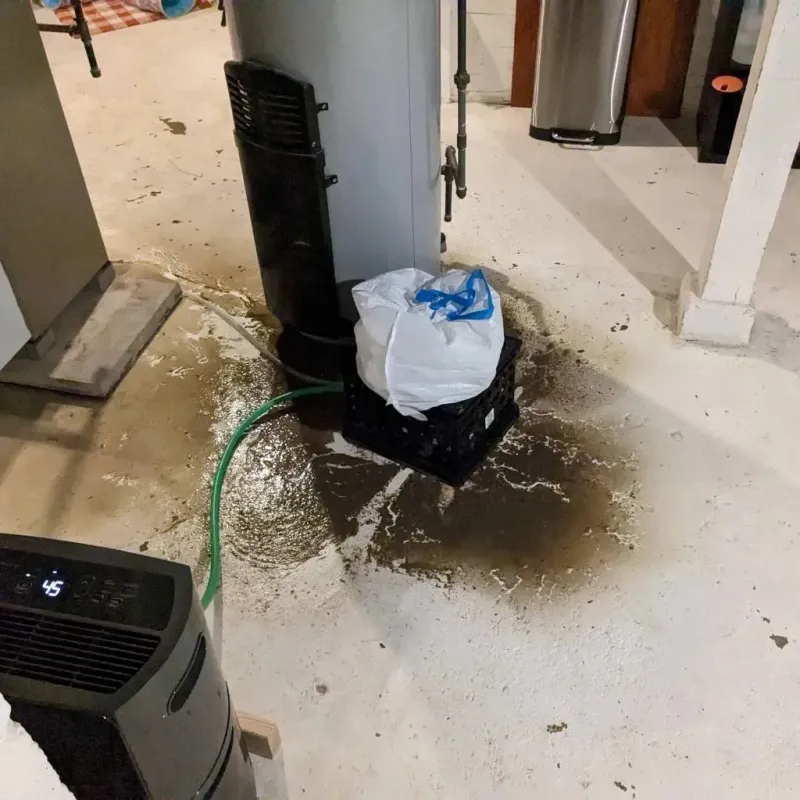 Sewage Backup Cleanup Service in Wayne County, OH